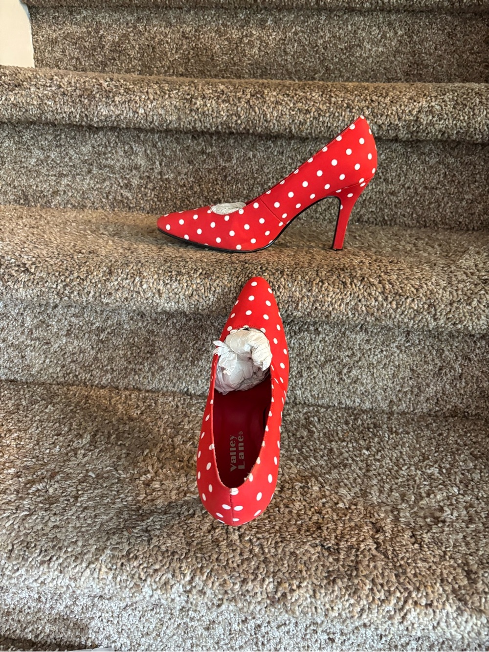 Valley Lane Red and White Polka Dot Pointed-Toe Heels